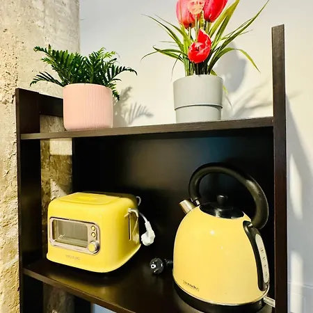 Lejlighed Ori B & Spacious Flat Close To The Center *